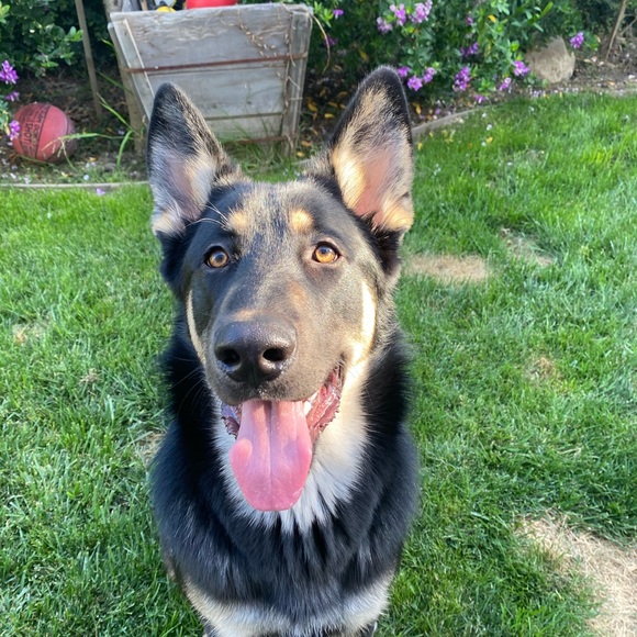 buy my old shit 🥀 - Picture 9 of 10